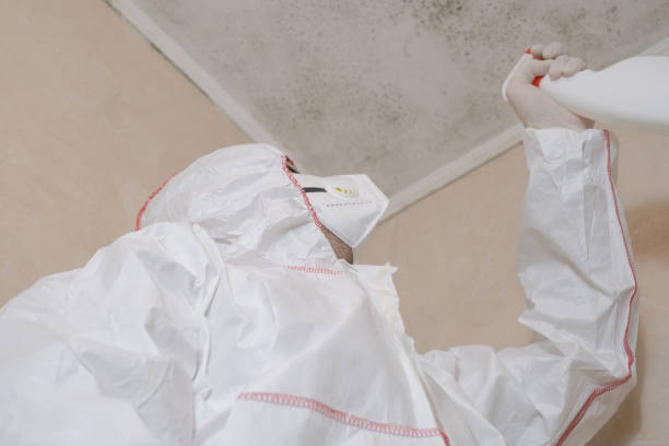 Best Post-Remediation Services in Maeser, UT